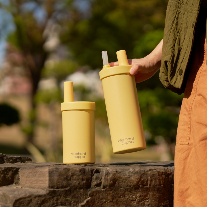 大象杯S⁺ 陶瓷升級版－布丁歐蕾